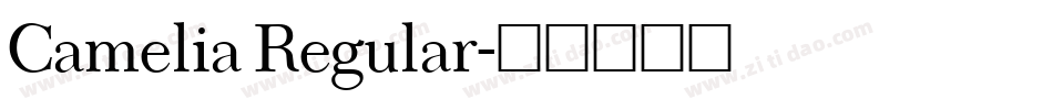 Camelia Regular字体转换